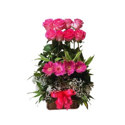 Arreglo de Rosas y Gerberas Fucsia en Dos Niveles