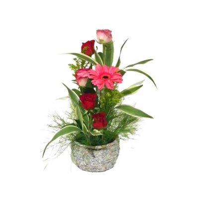 Arreglo Estilizado de Rosas y Gerbera en Base Nido