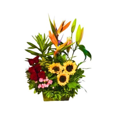 Arreglo Tropical de Altura con Aves del Paraíso y Girasoles