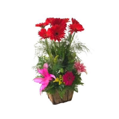 Arreglo de Gerberas Altas en Base Rústica con Lirios