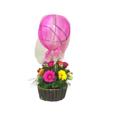 Arreglo de Gerberas y Rosas con Globo Burbuja de Tul