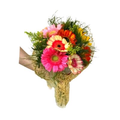 Bouquet de Gerberas Variadas en Malla Decorativa
