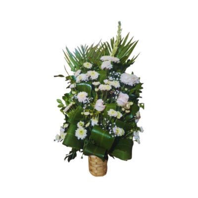 Parado de Condolencias Solemnidad de Rosas Blancas
