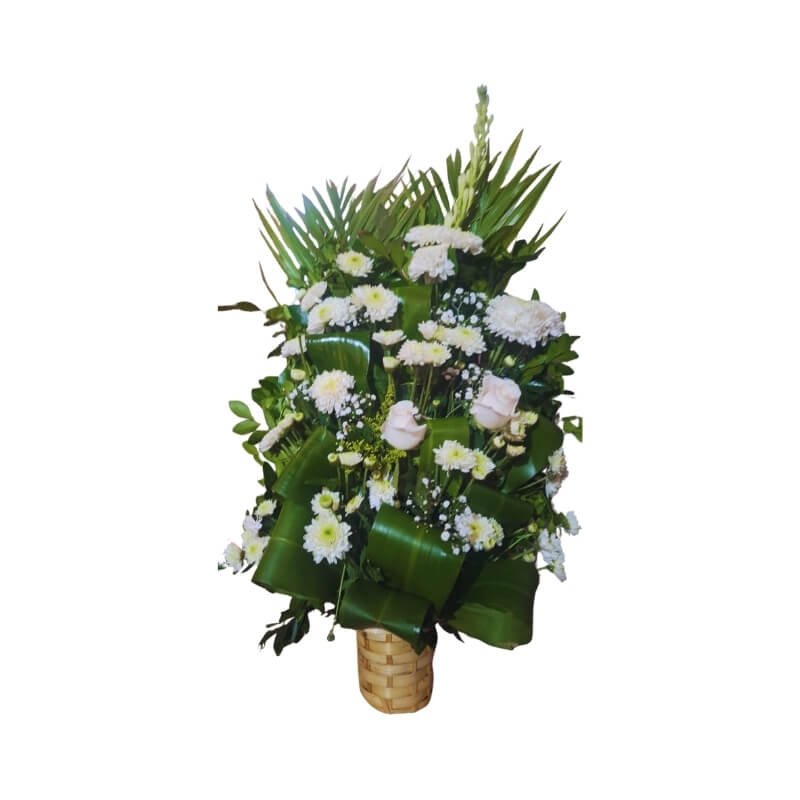 Parado de Condolencias Solemnidad de Rosas Blancas